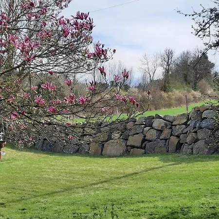 Magnolia 8 Personnes Coubon